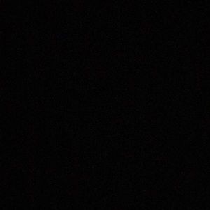 Meet your Posher, Brady